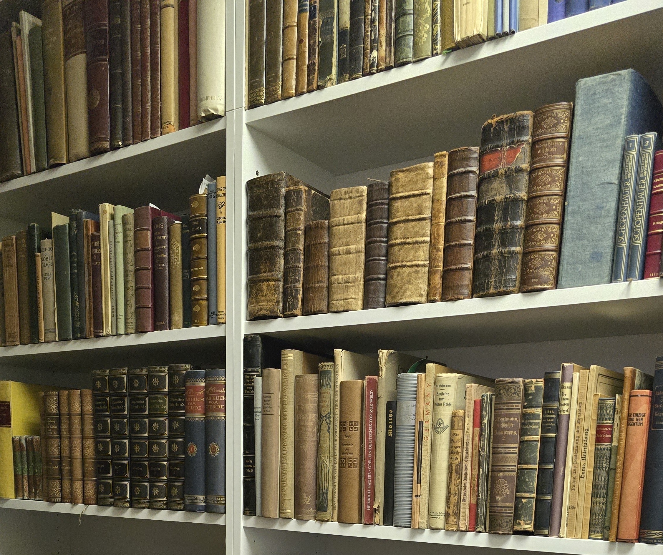 Alte und antiquarische Bücher im Antiquariat Bernhardt