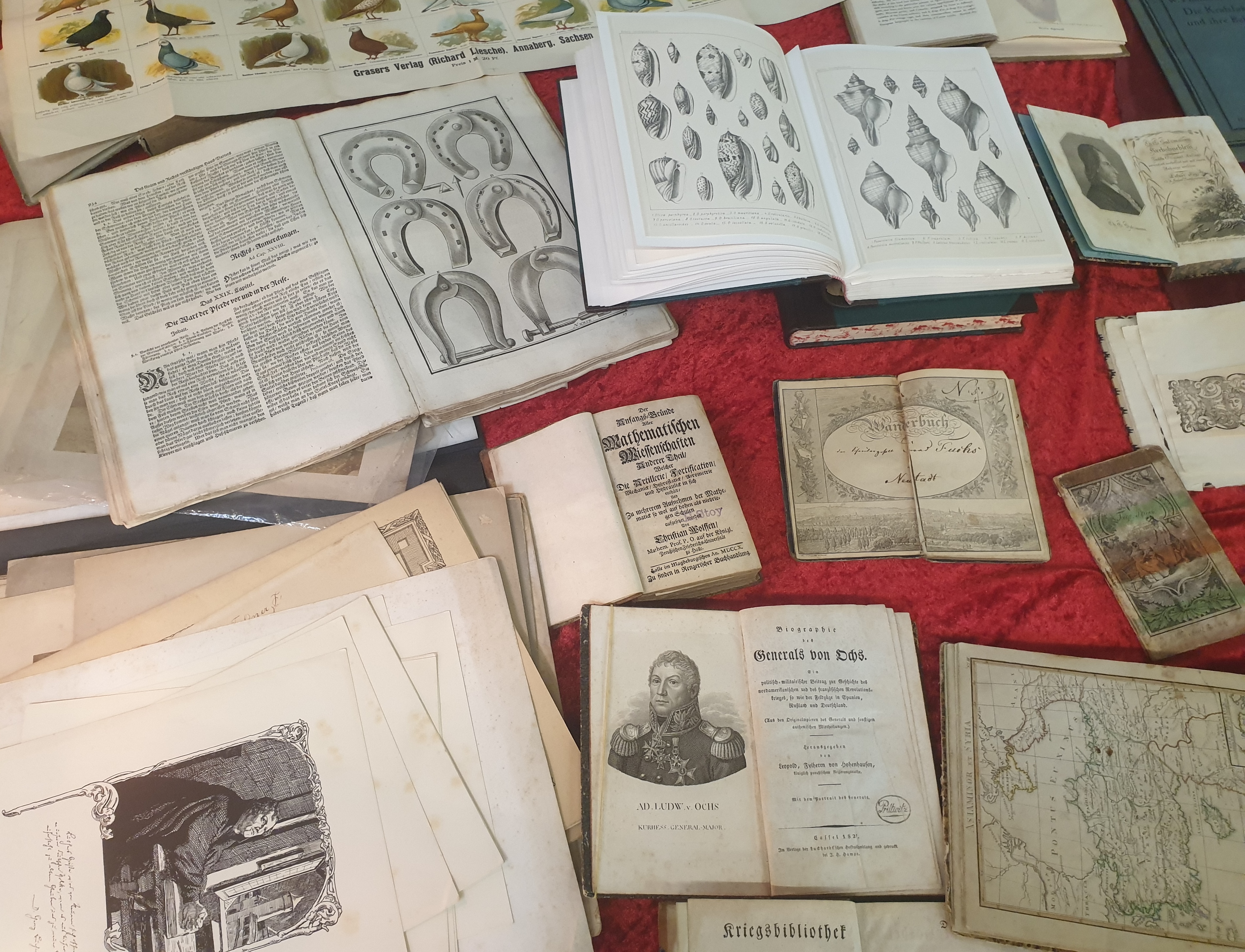 Alte und antiquarische Bücher sowie historische Drucke für den Ankauf antiquarischer Bücher in Fulda